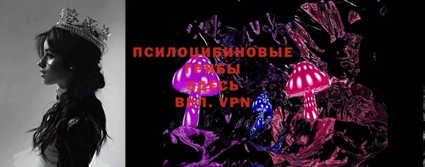 стаф Белокуриха