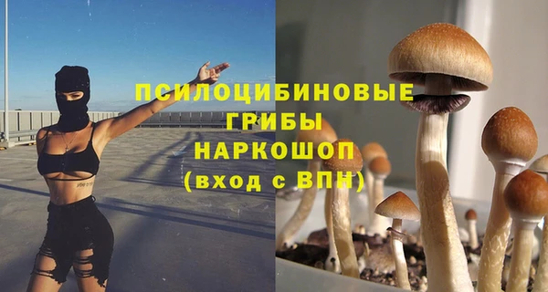 стаф Белокуриха