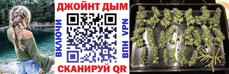 Каннабис сатива  Ядрин 